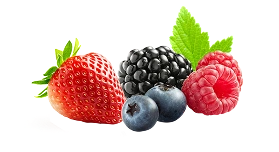 Berry Mix